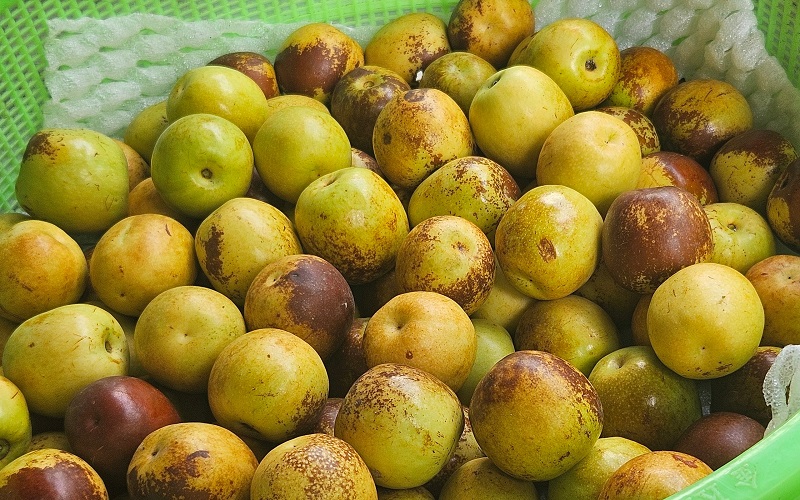 an-tao-do-co-tac-dung-gi-5